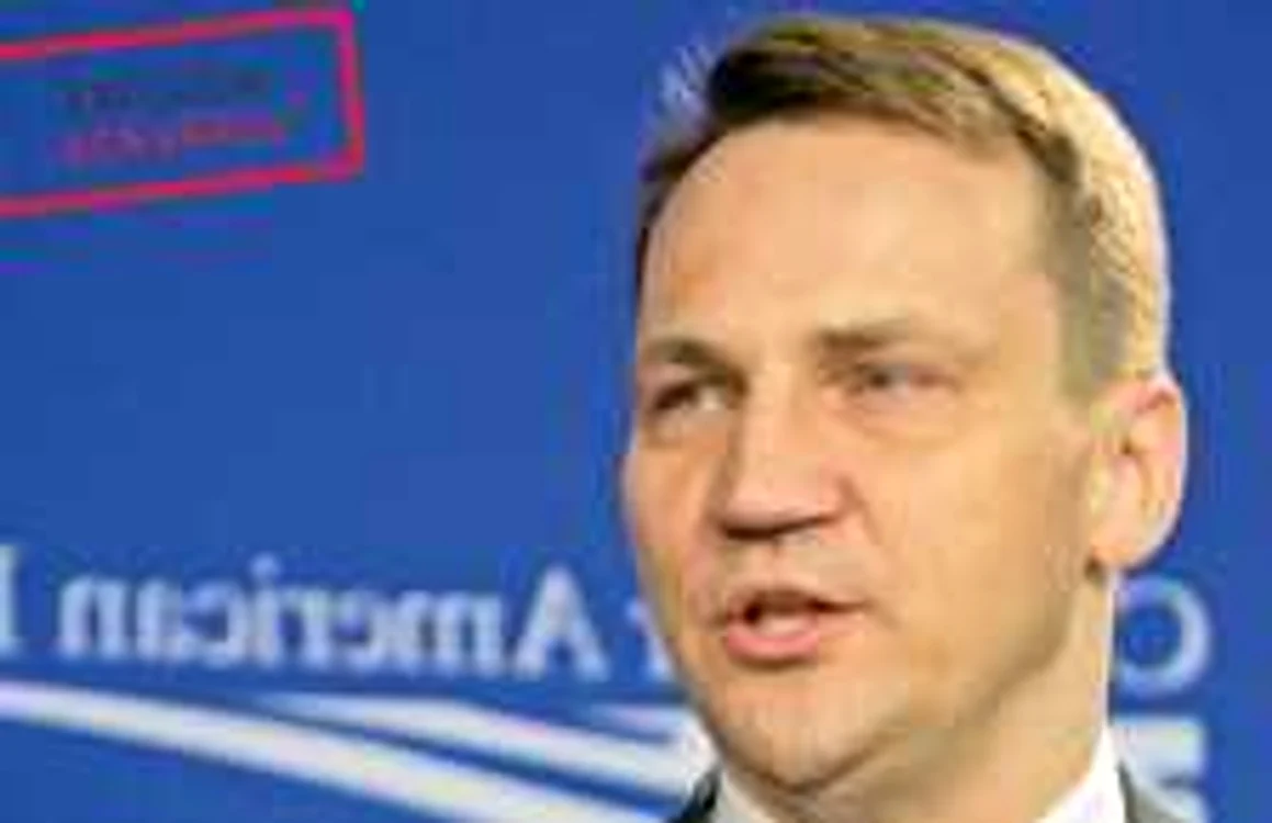 Radoslaw Sikorski crede că Europa trebuie să-şi valorifice resursele mai inteligent