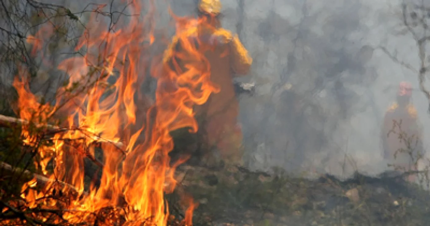 Incendiul de aseară fost stins după miezul nopţii