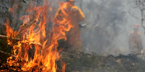 Incendiul de aseară fost stins după miezul nopţii