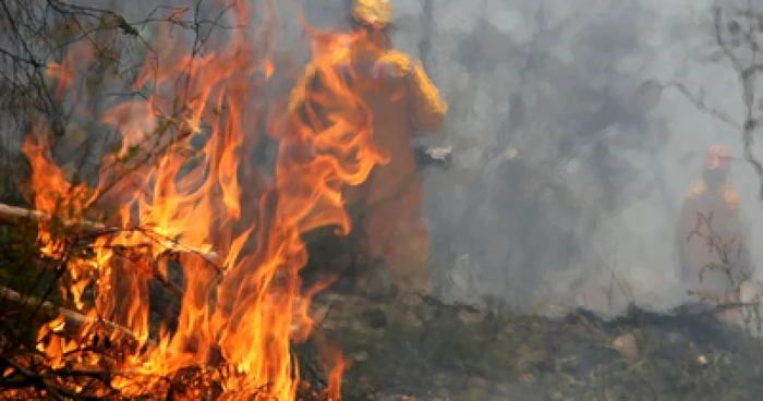 Incendiul de aseară fost stins după miezul nopţii