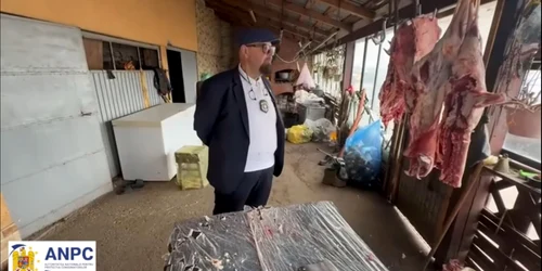 piedone ferma lui Mitică Vișan captura video jpg