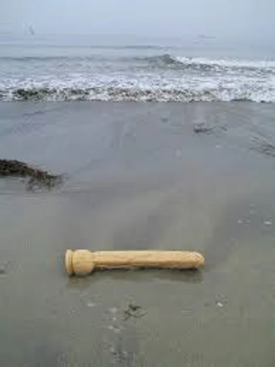 Jucărie sexuală (captură video)