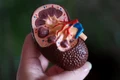 click ro   cardioclinic jpg