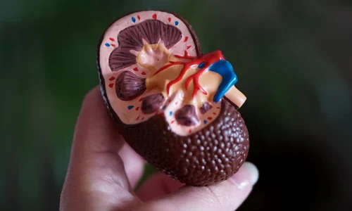 click ro   cardioclinic jpg