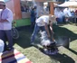 festivalul usturoiului 2