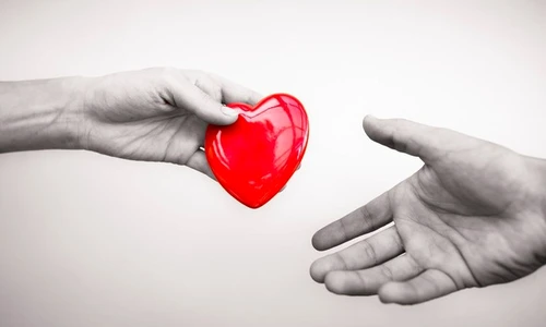 1 81455 original jpg jpeg