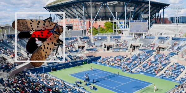 US Open jpg