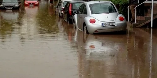 inundatii