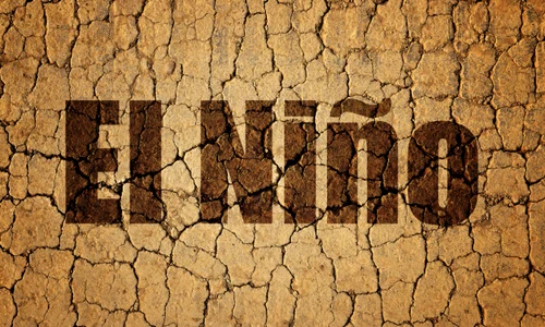 el nino seceta shutterstock 2288484469 jpg