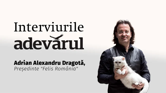 VIDEO Cum (ne)iubesc pisicile?Despre ce relație ai cu pufoasa ta, explică Adrian Alexandru Dragotă, Președinte "Felis România"