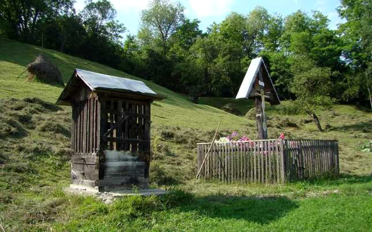 valea larga salciua