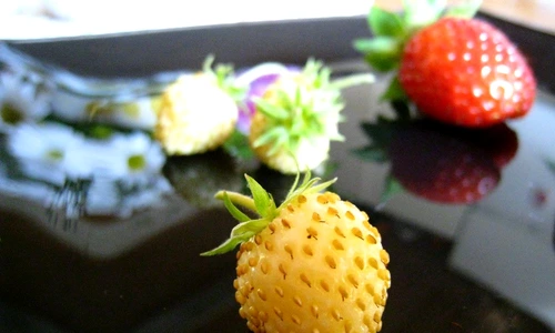 1 74498 original jpg jpeg