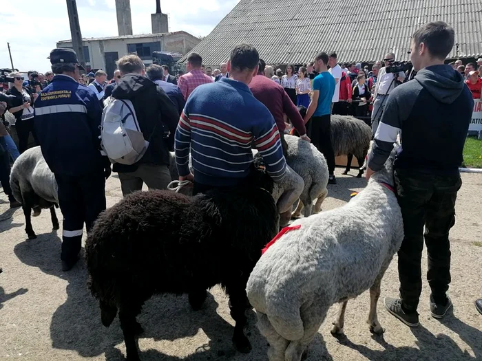 FOTO: ADEVĂRUL