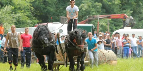 Festivalul ecvestru a devenit o tradiţie la Râşnov. FOTOAdevărul