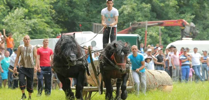 Festivalul Ecvestru de la Râşnov este unul dintre cele mai aşteptate momente ale anului. FOTOArhivă.