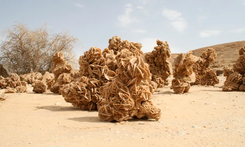 1 shutterstock 17162107 jpg jpeg