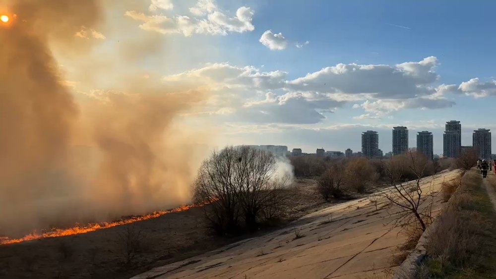 Incendiu în Parcul Natural Văcărești din București: „Sunt posibilități de propagare din cauza vântului” VIDEO