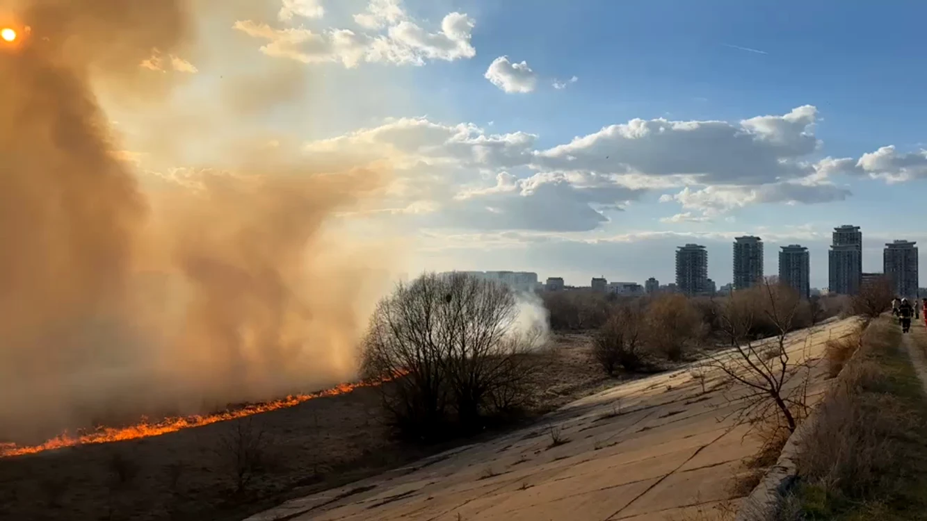  Incendiu puternic în Delta Văcărești
