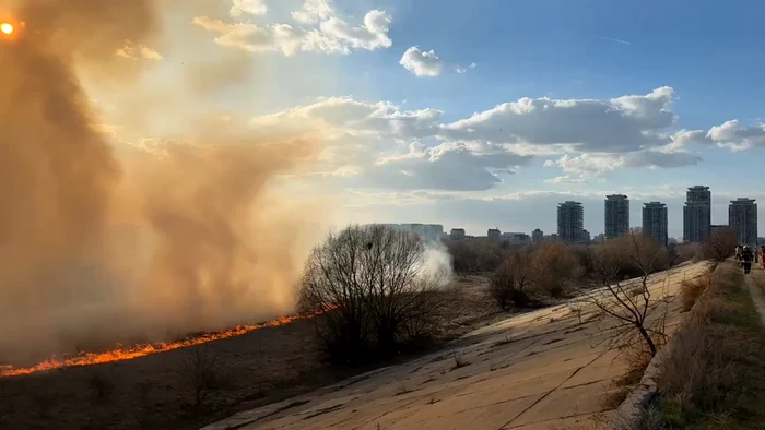 Incendiu puternic în Delta Văcărești