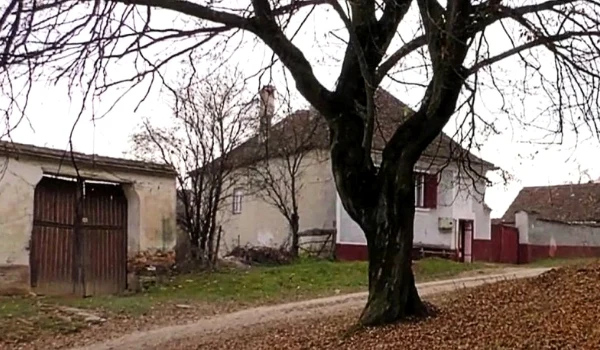 casa crima brasov 3 png