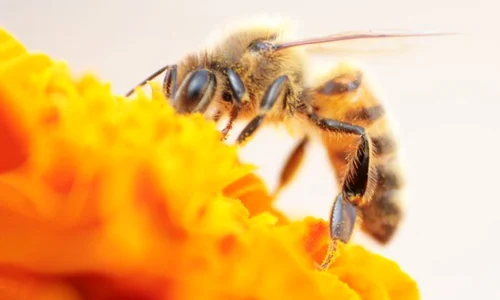 1 shutterstock 344723081 jpg jpeg