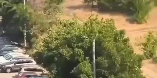 WhatsApp Video 2025 09 15 at 15 10 09 mp4 thumbnail png