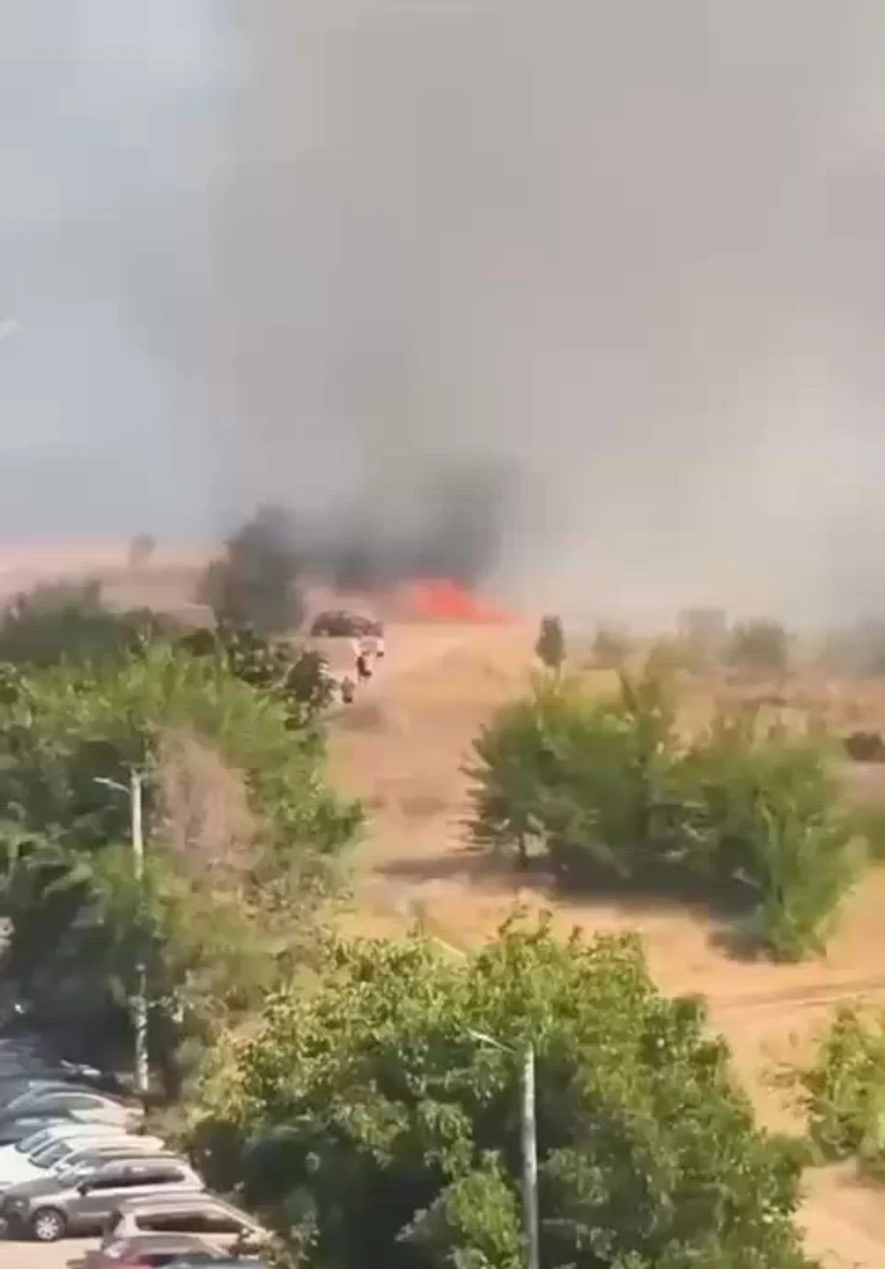 Motivul uluitor pentru care un bărbat ar fi dat foc vegetației de pe un teren, între București și Ilfov