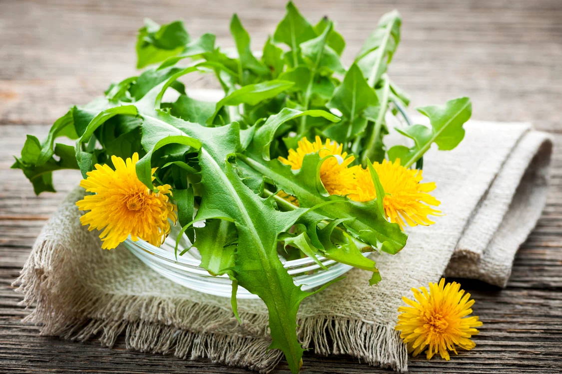 Păpădia conţine aminoacizi, carotenoide, substanţe minerale (este remarcabil conţinutul în potasiu), vitamine