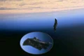 black knight satellite jpeg