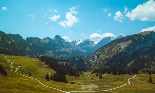 2fca45a2 9746 4b43 8df9 c6cda84f9d05 jpeg