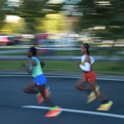 IMG 9542 jpg