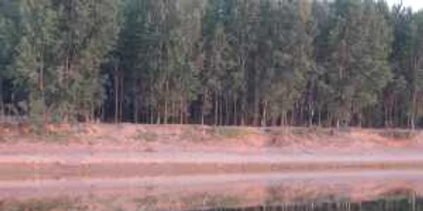 Vremea frumoasă mai zăboveşte în sud-est