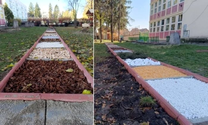 Parcul școlii „Gödri Ferenc” / Foto: We Radio Sfântu Gheorghe
