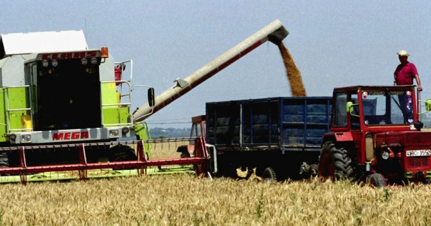 Producţie record la grâul recoltat în 2011