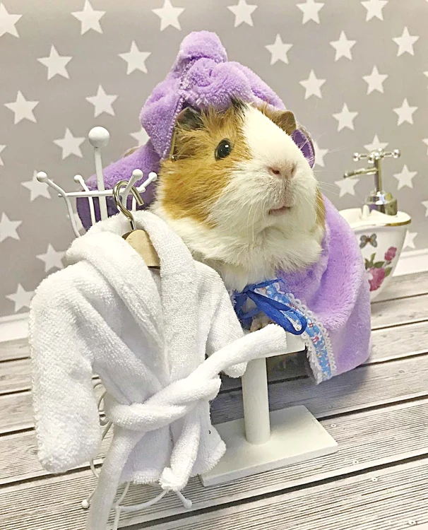 Nu mă deranjați, mă relaxez la spa, vorbim după...