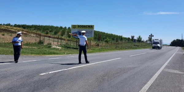 Controale soferi FOTO Politia Timis
