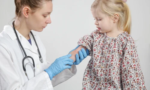 shutterstock 1941469303 jpg