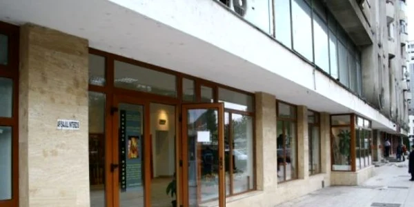 galerie de arta