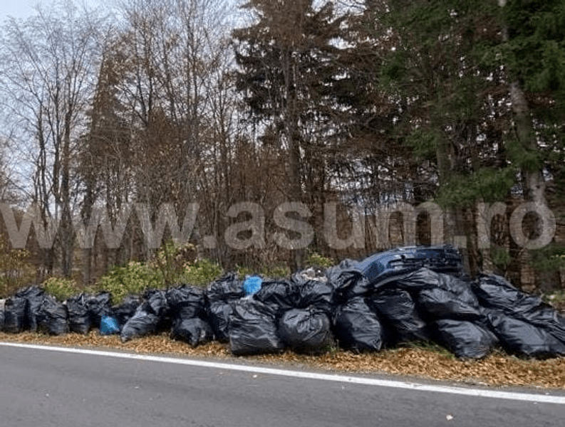 Facturi aruncate la gunoi, într-o pădure dintre Moieciu și Fundata. „Sunt în posesia noastră, poate le caută“ VIDEO