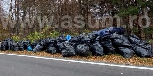 deseuri jpg