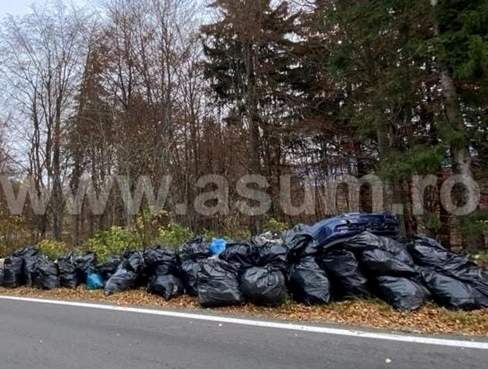 Peste trei tone de deșeuri, strânse de la Moieiu - Fundata FOTO ASUM Brașov