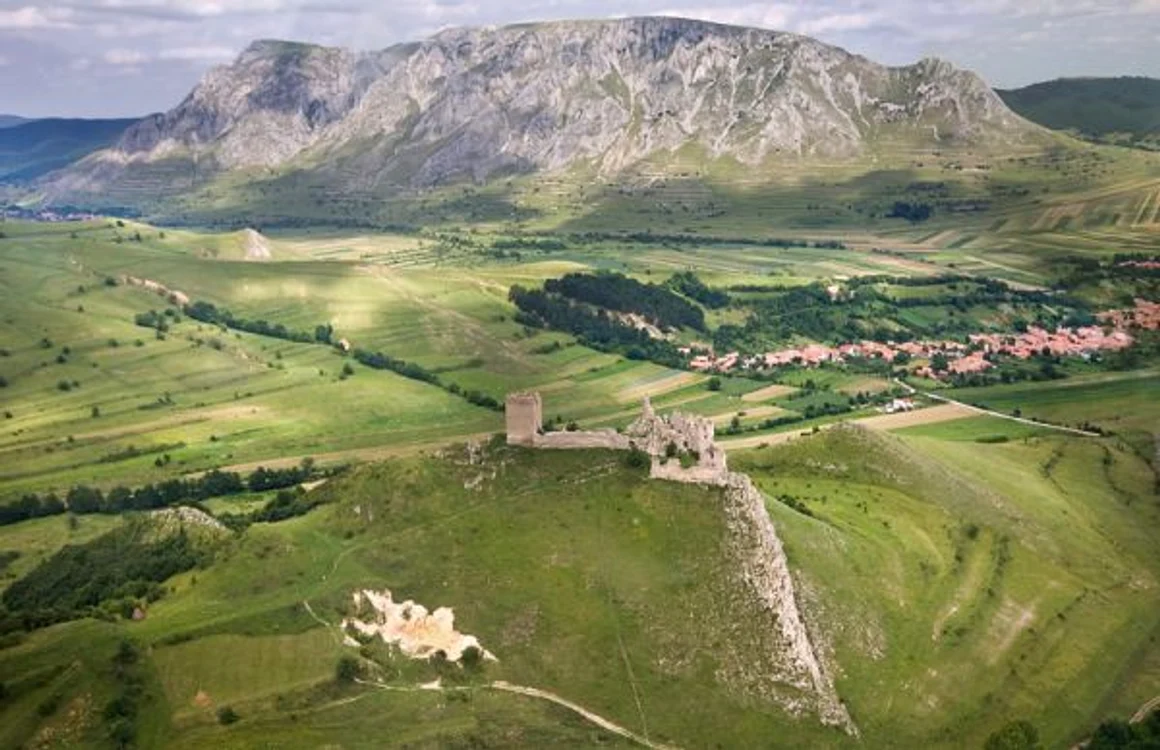 lamai coltesti alba
