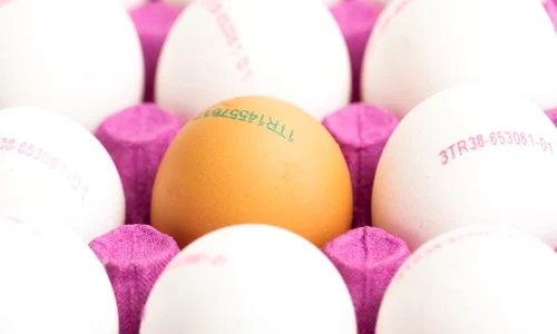 1 shutterstock 1606586233 jpg jpeg