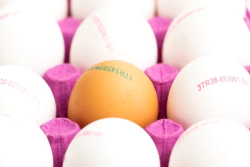 1 shutterstock 1606586233 jpg jpeg