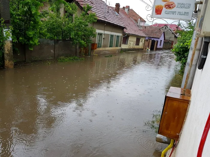 inundatii alba