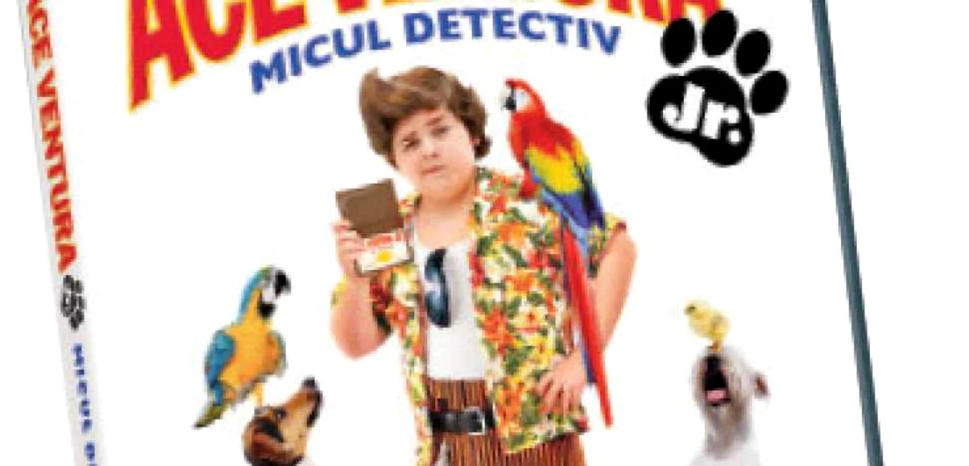 Lansări DVD