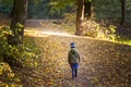Baietel singur - copil in parc / padure foto Shutterstock 