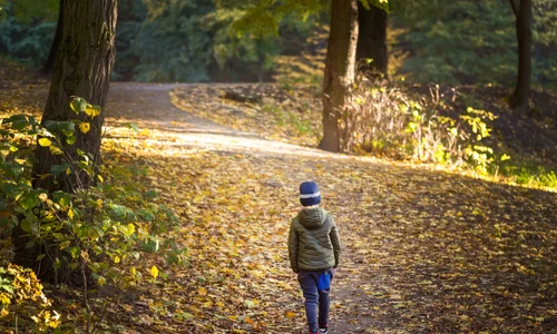 Baietel singur - copil in parc / padure foto Shutterstock 