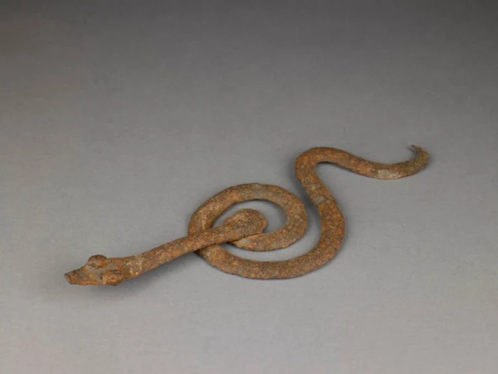 Snake Lobi BMA e1371756246654 jpg jpeg