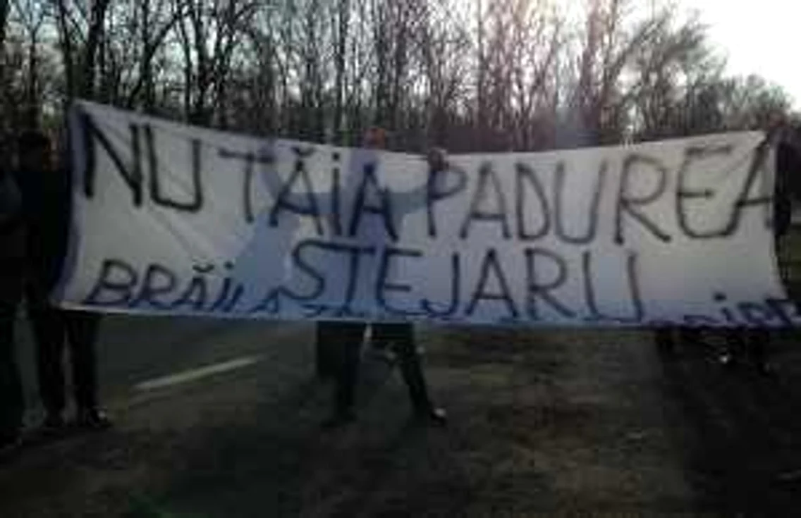padurea stejarul braila 